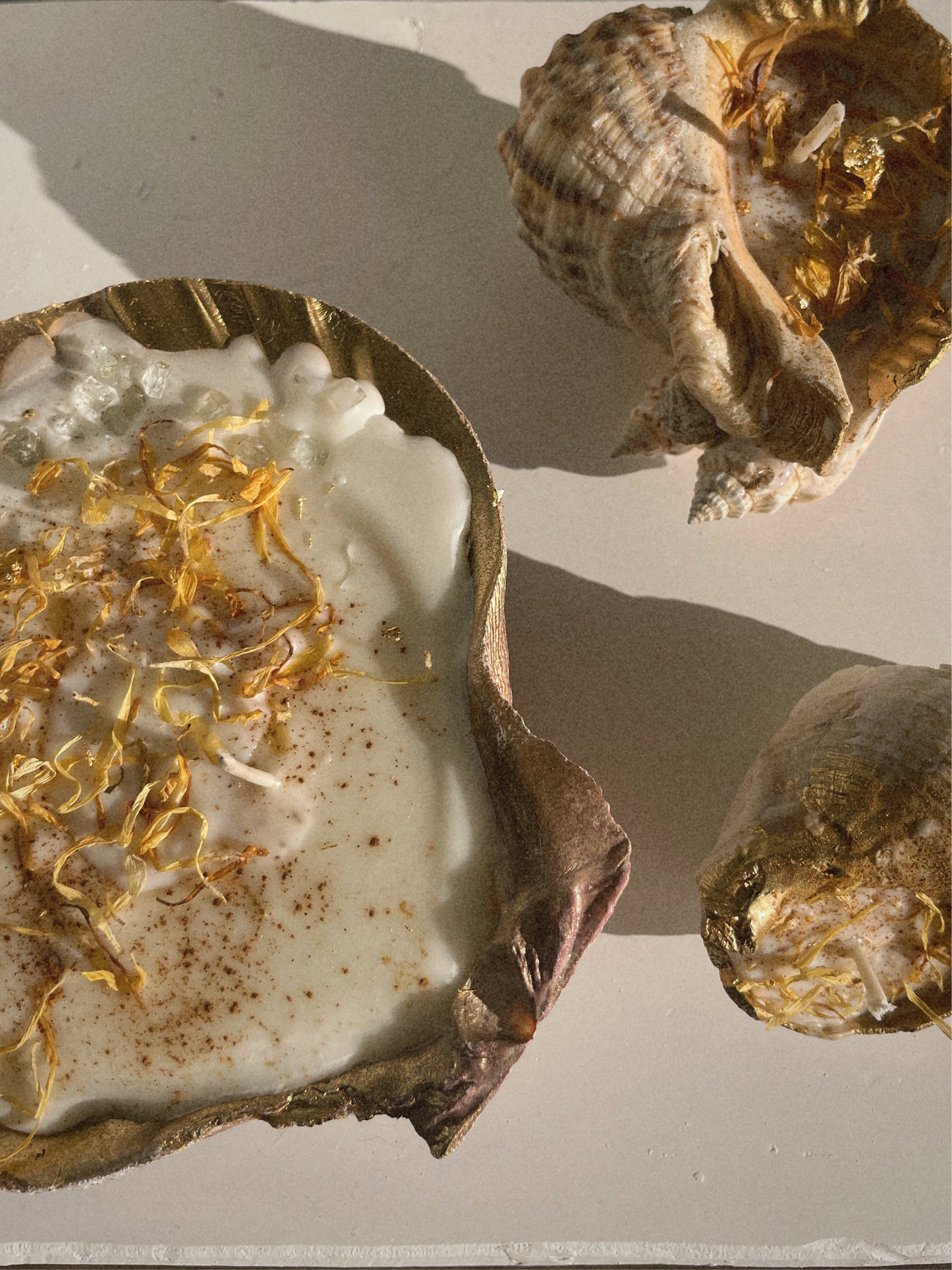 Shell Candle