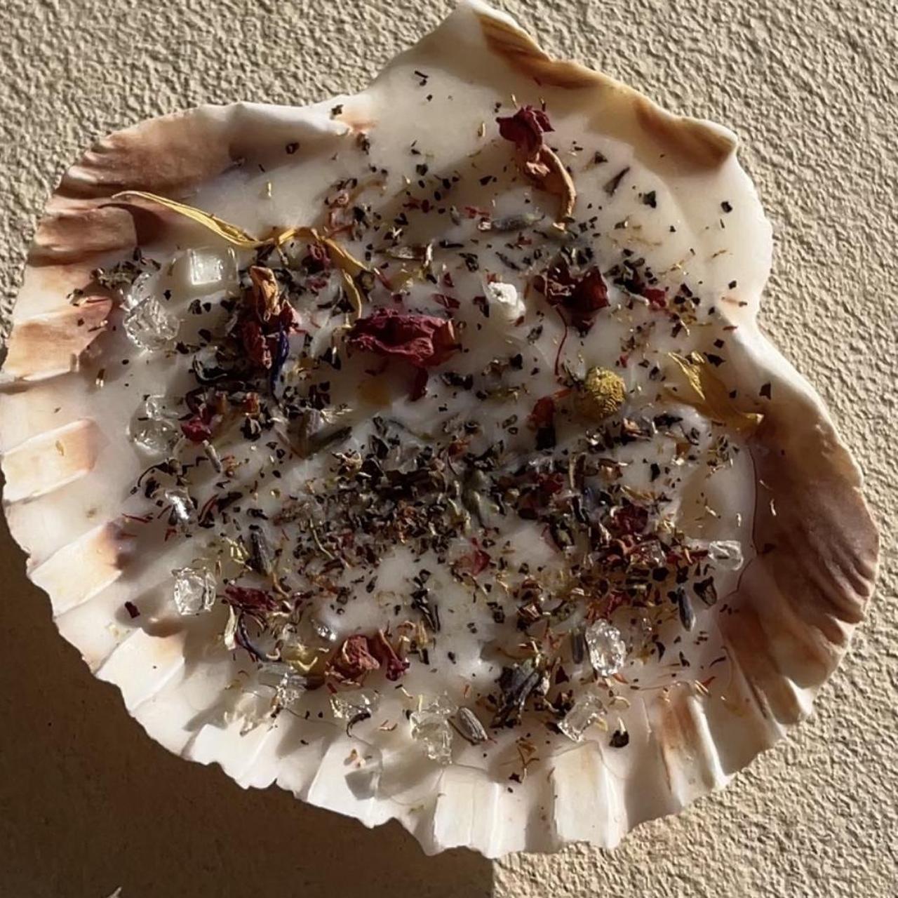 Shell Candle