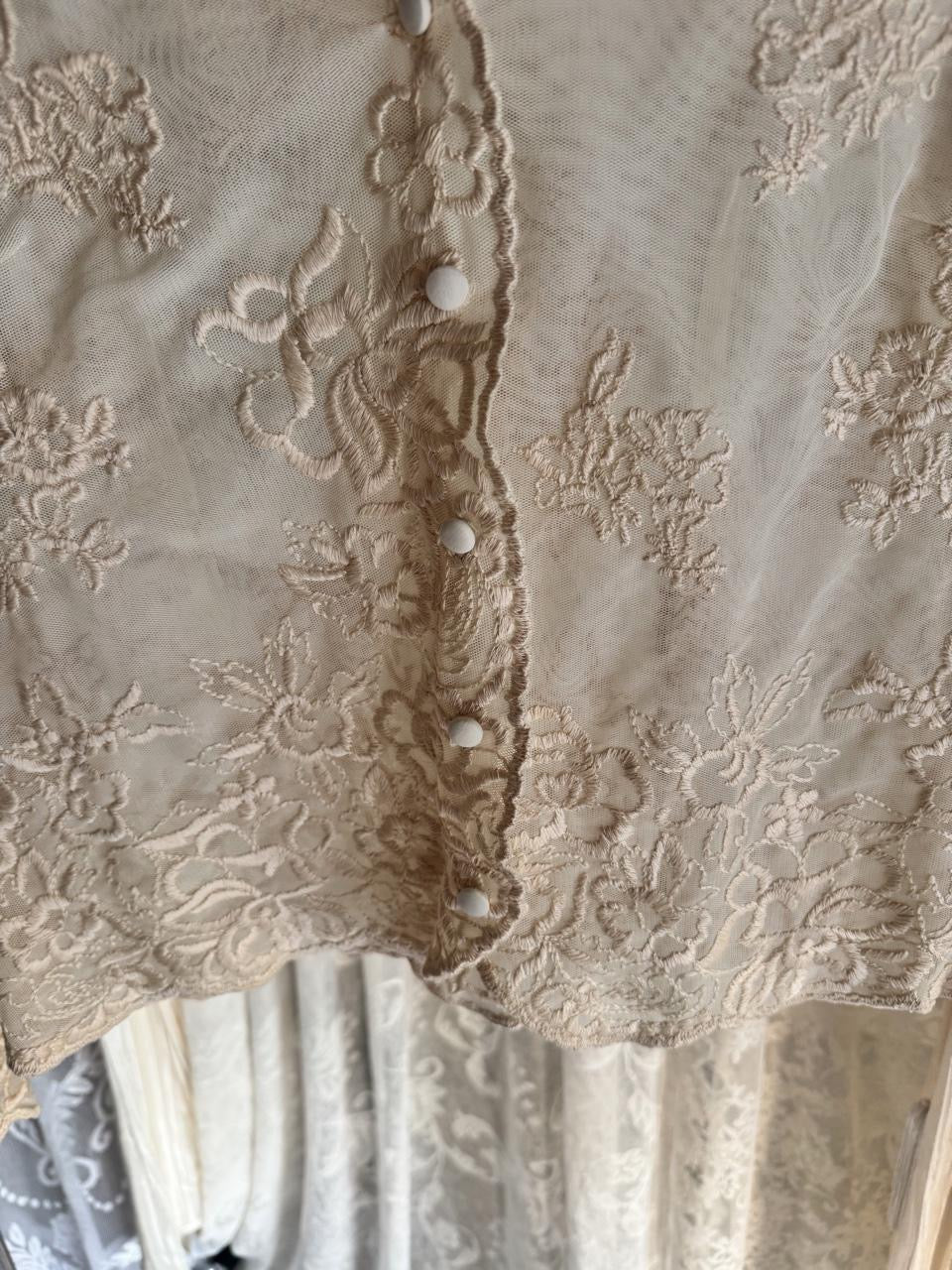 Sheer Lace Blouse